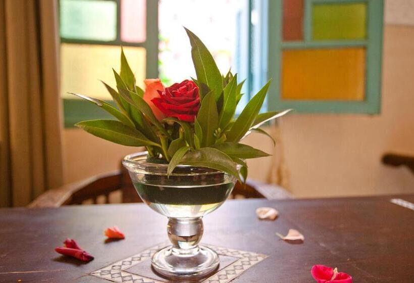 Riad Atlas Acacia