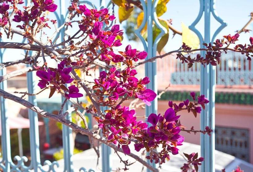 Riad Atlas Acacia