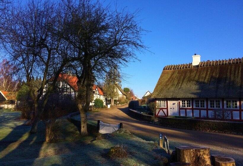 Troense B&b By The Sea