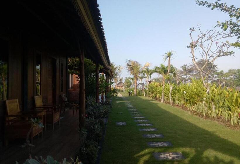 민박 Emir Surfcamp