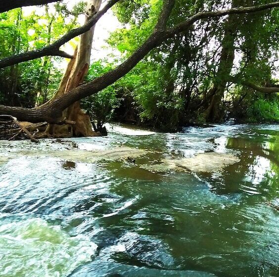 پانسیون Stream View Family Resort