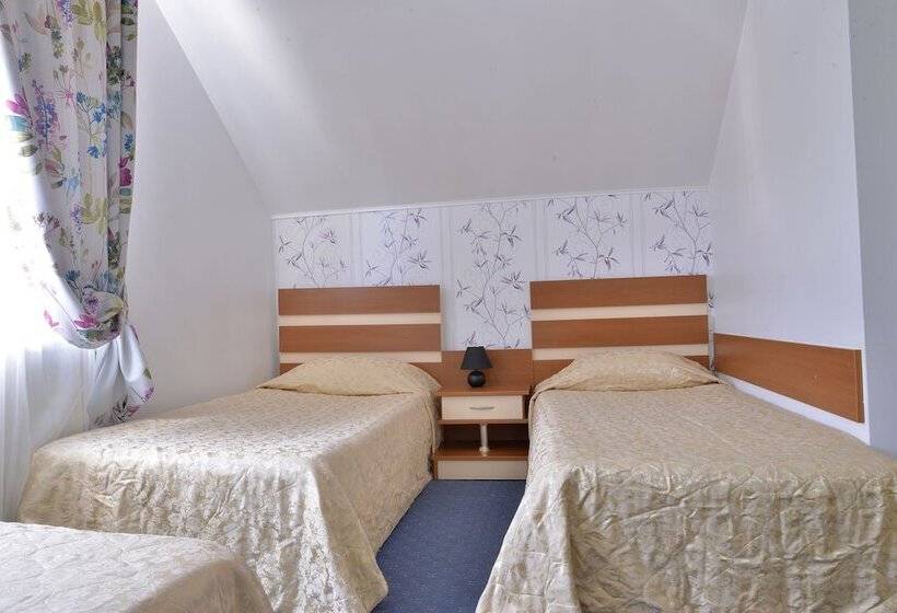 Pension Elisabeta