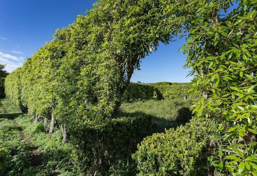 هتل روستایی Quinta Do Paraizo