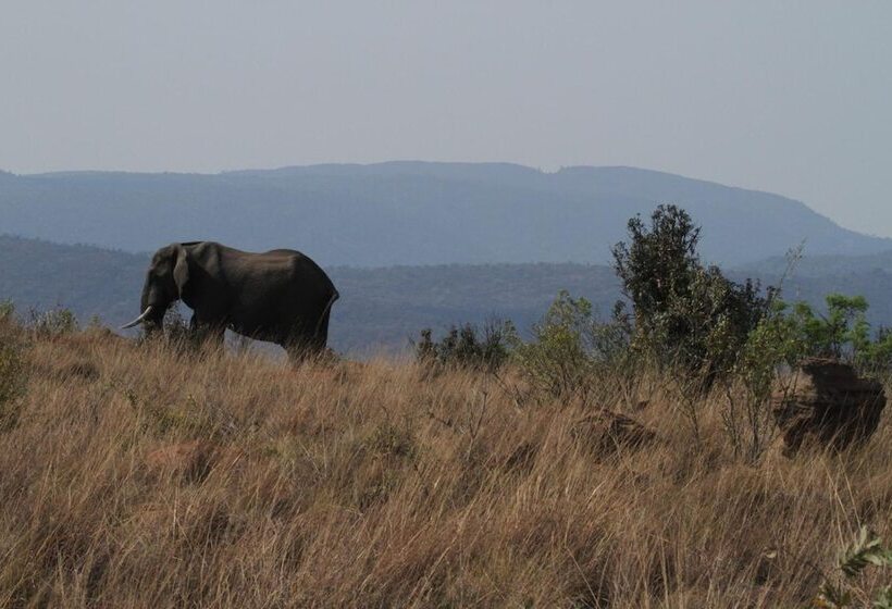 ホテル Inzalo Safari Lodge