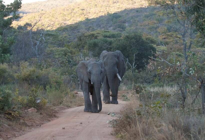 ホテル Inzalo Safari Lodge