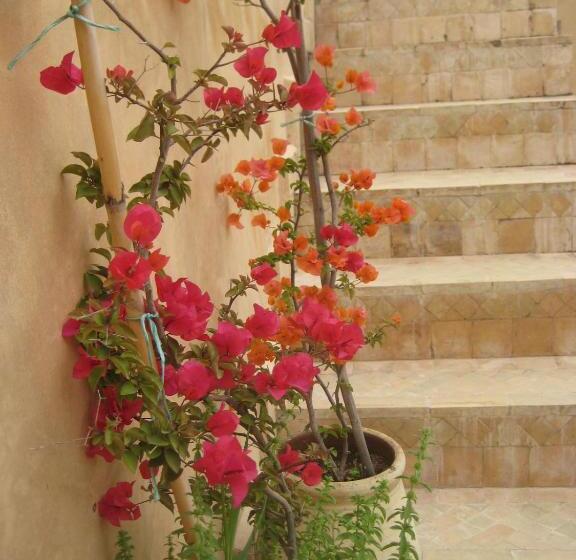 پانسیون Dar Houdou
