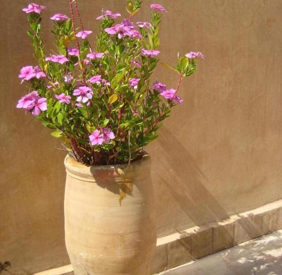 پانسیون Dar Houdou
