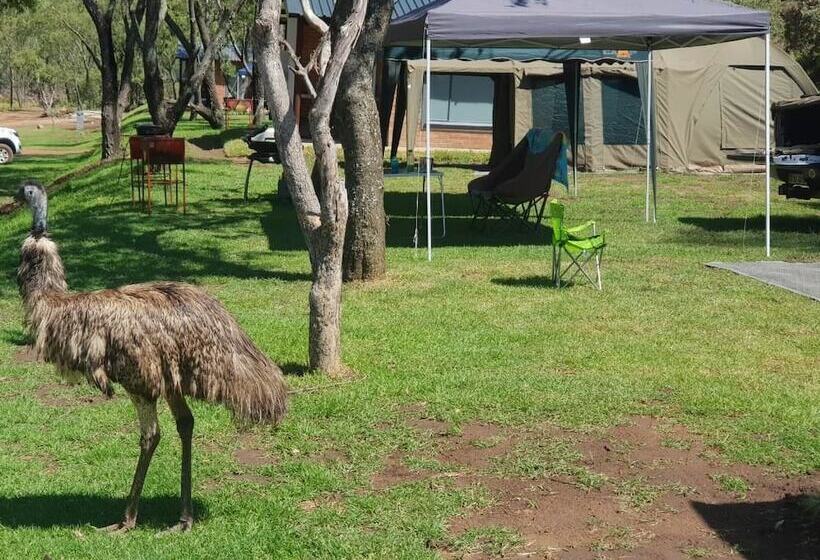 ホテル Ruah Park Camping & Outdoor