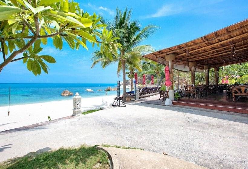 هتل Crystal Bay Yacht Club Beach Resort