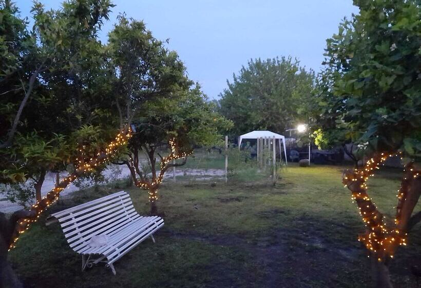 تختخواب و صبحانه City Pompei Accommodations