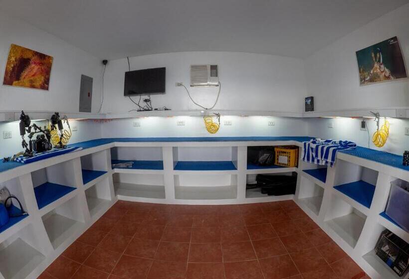 Отель Blue Ribbon Dive Resort