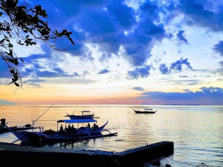 Отель Blue Ribbon Dive Resort