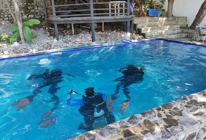 Отель Blue Ribbon Dive Resort