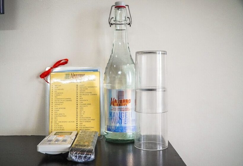 בית מלון כפרי Navarro