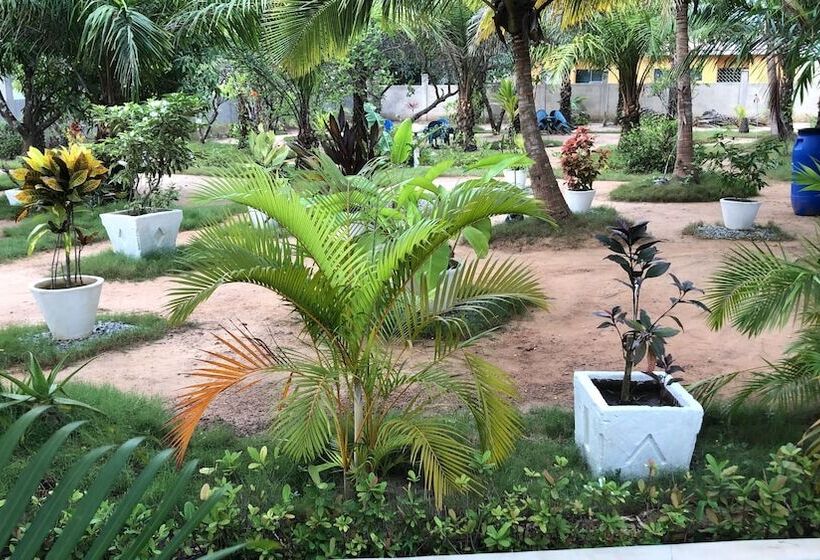 پانسیون Twitter Paradise Guest House