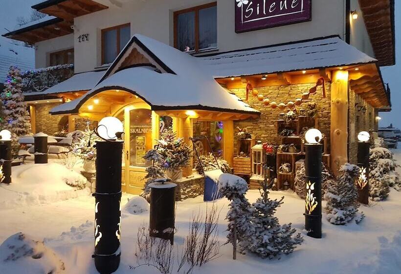 پانسیون Willa Silene   Góralska Muzyka Na żywo, Blisko Termy I Wyciągów