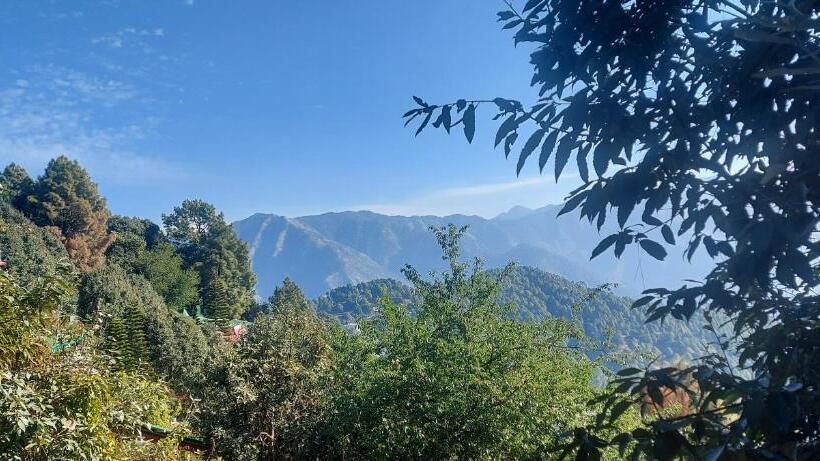 Blue Pine Resort