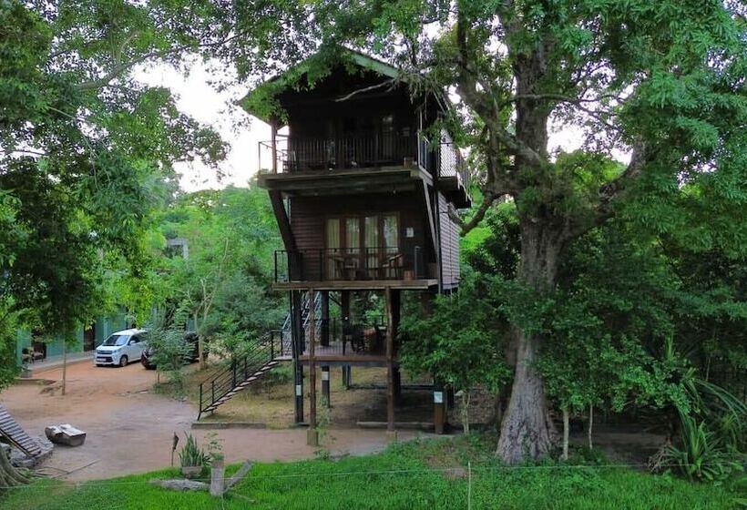 Отель Wilpattu Tree House