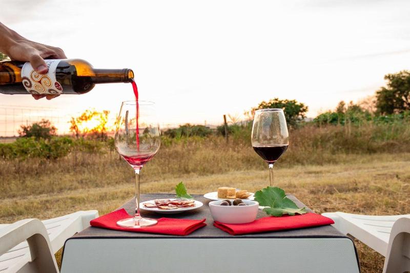 Monte Do Colmeal  Country House & Wine