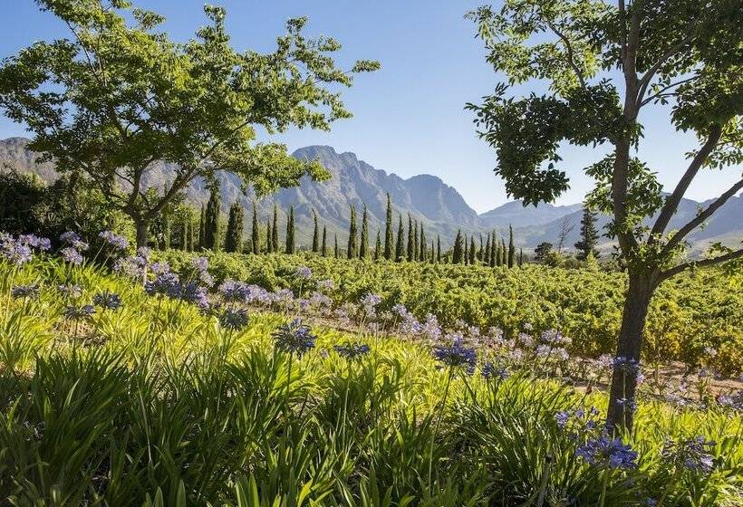 پانسیون La Providence Guest House & Wine Farm