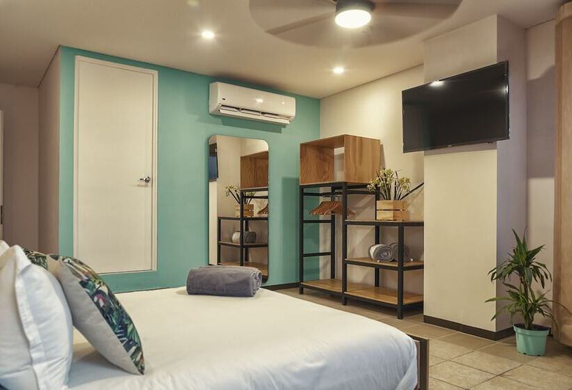 هاستل Mayan Monkey Los Cabos | Social