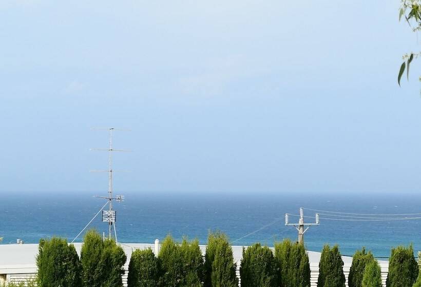 Apollo Bay Seal Apartments