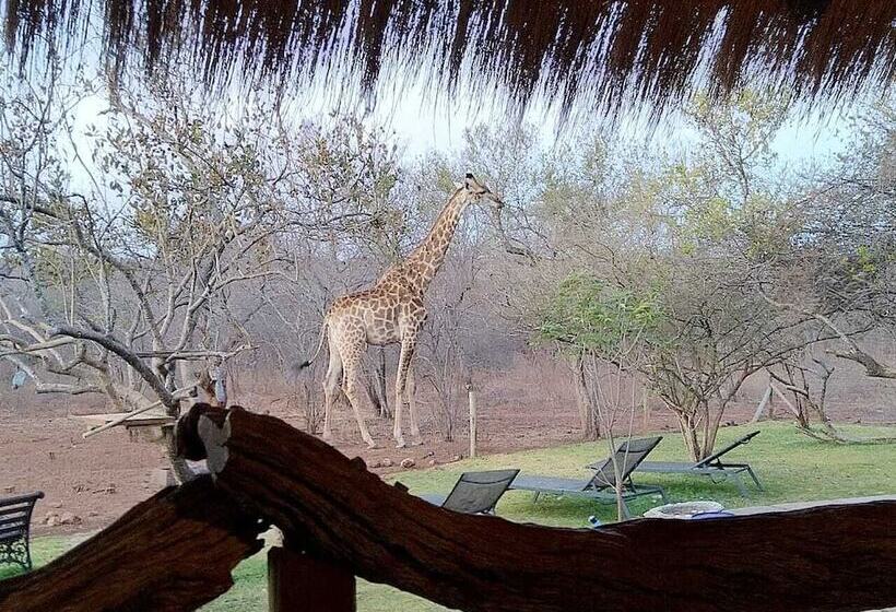 هتل Call Of The Wild Lodge