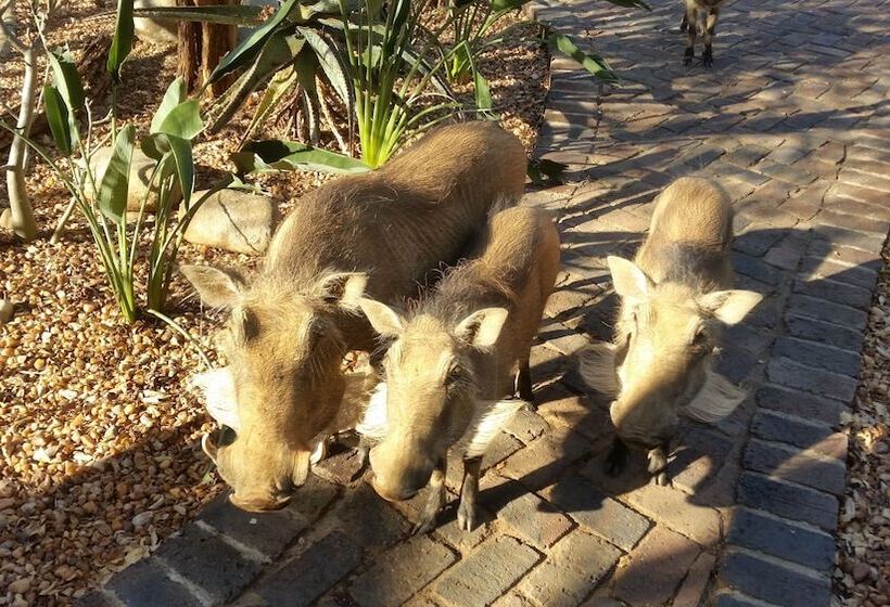 בית מלון כפרי Call Of The Wild Lodge