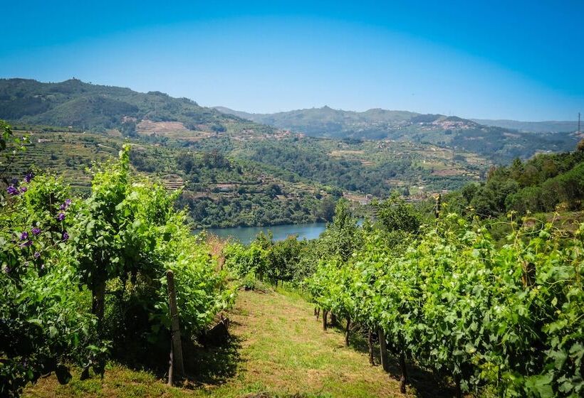 Casa Da Mouta Douro Valley