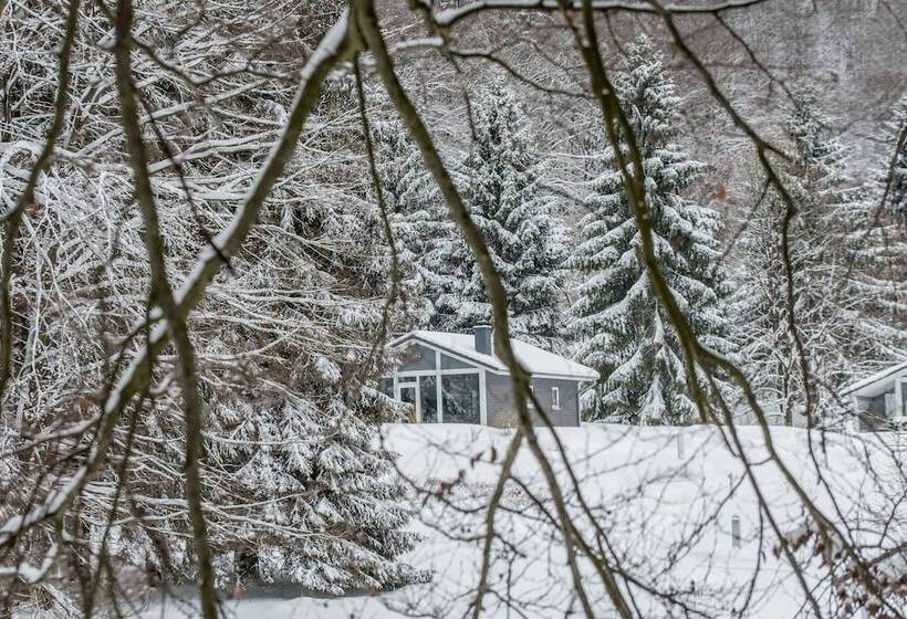 Ferienhaus Lichtung