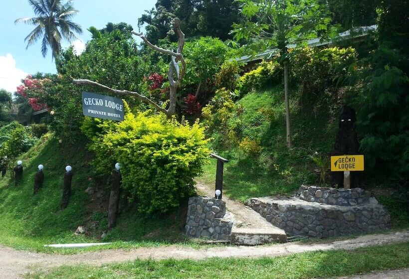هتل Gecko Lodge Fiji