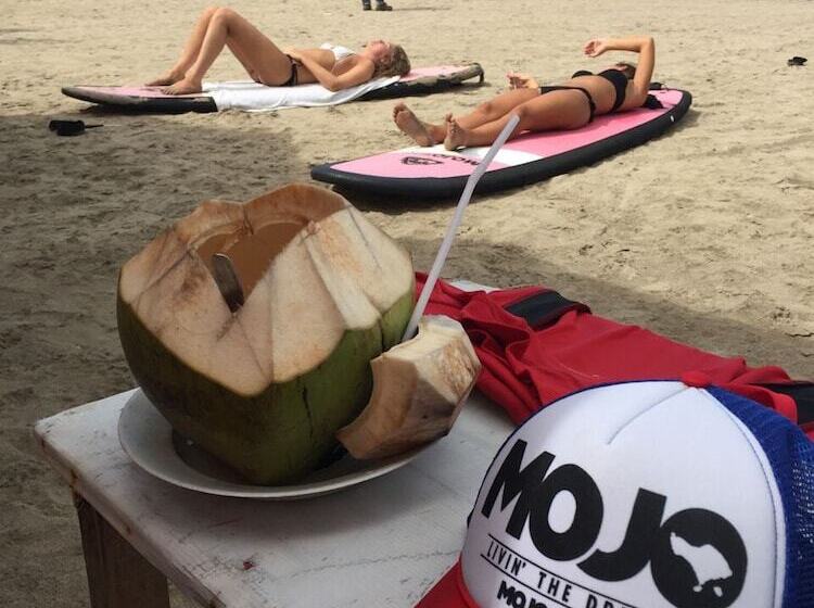 Mojosurf Camp Canggu   Hostel