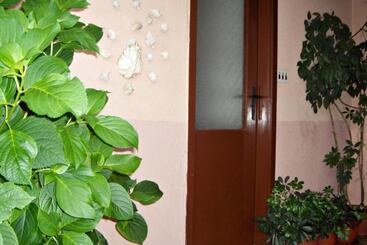 پانسیون Guest House Roza