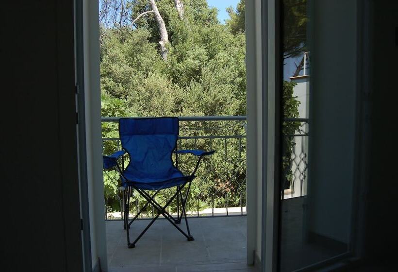 Bed and Breakfast Viadelcampo