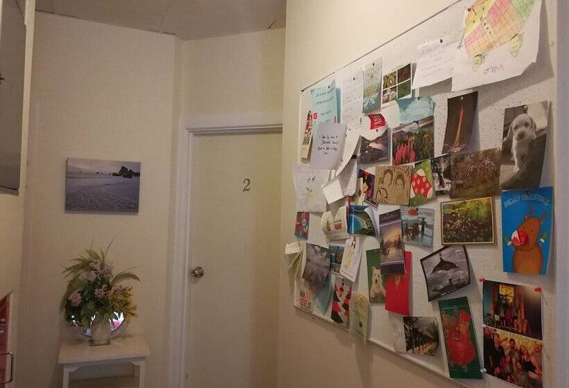 هاستل Aurora Backpackers