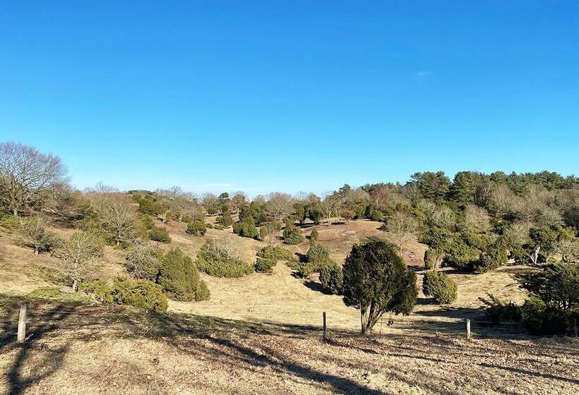 Basballegaard Bed & Breakfast