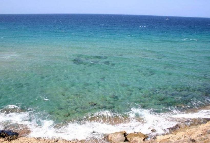 تختخواب و صبحانه Big Fish Alghero Guesthouse