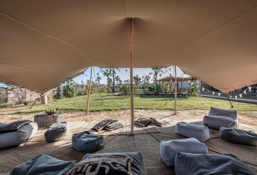 هتل Domes Zeen Chania, A Luxury Collection Resort, Crete