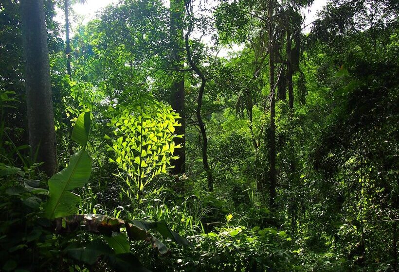 펜션 Natural Mystic Sanctuary