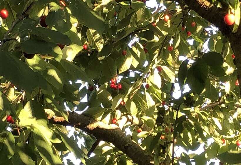 צימר Riverside Inn