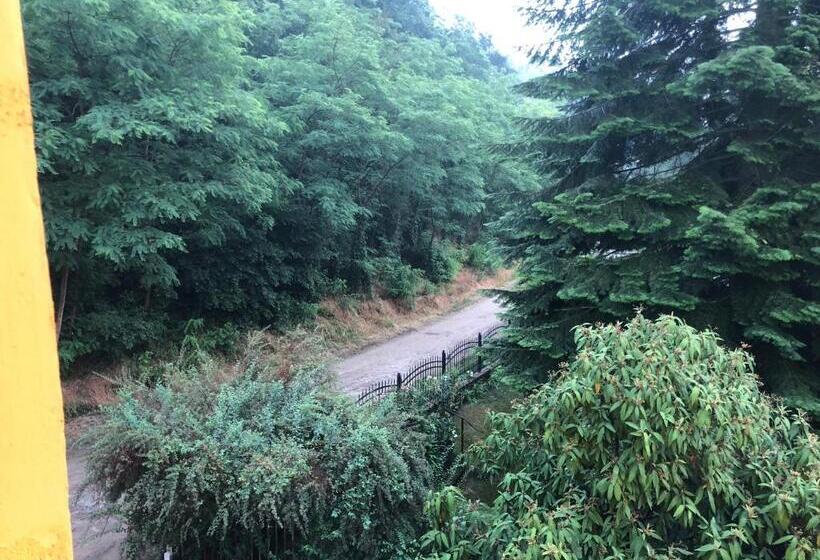 צימר Riverside Inn