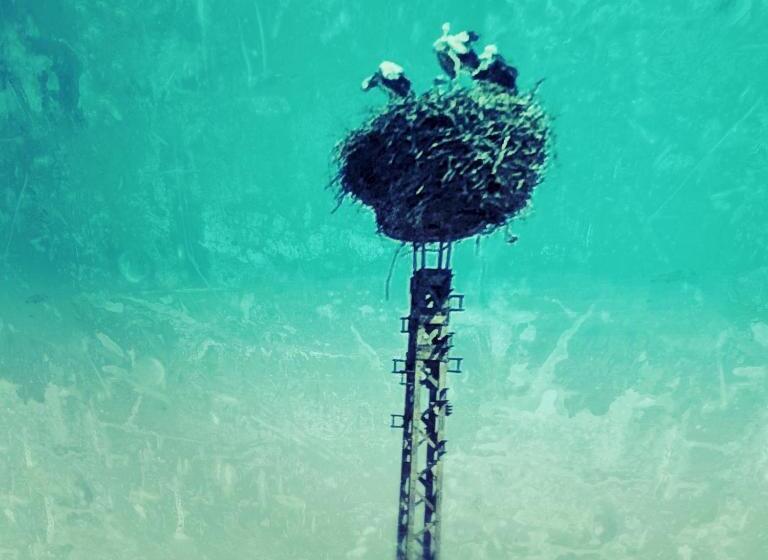 צימר Riverside Inn