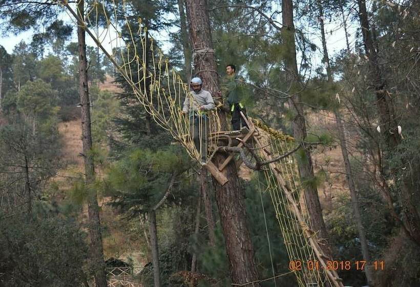 호텔 Jungle Stays
