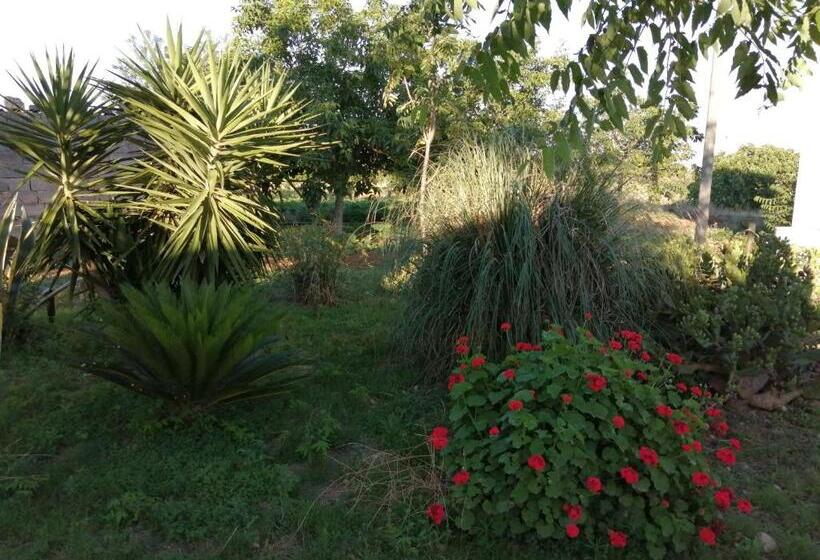 Сельский отель Agriturismo Tenuta Perruzzi