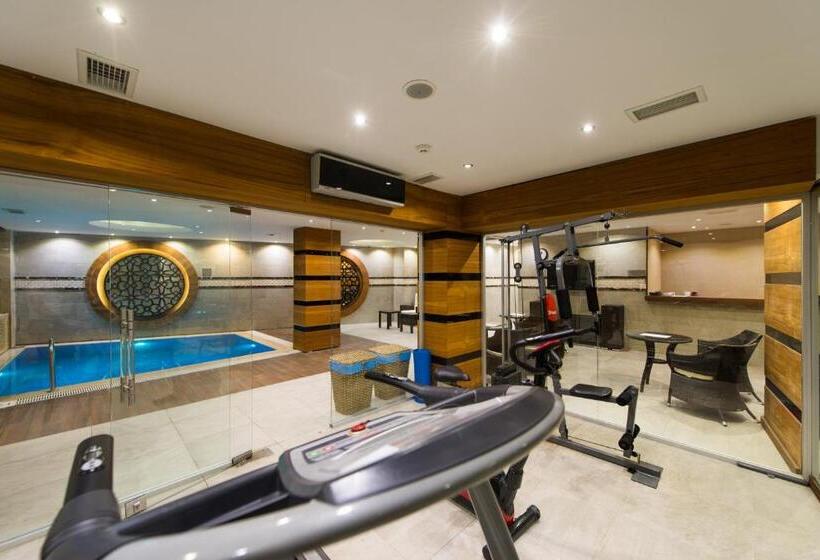 Fotos del hotel Antea  Oldcity Special Category:  41