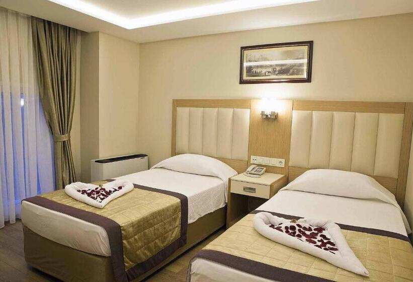 Fotos del hotel Baron:  2