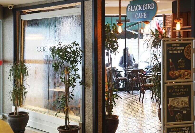 Fotos del hotel Black Bird:  32