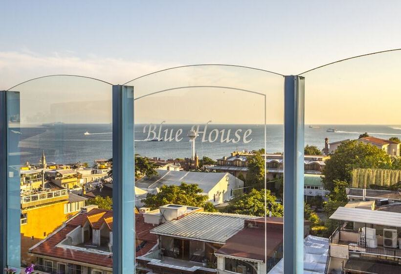 Hotel Blue House