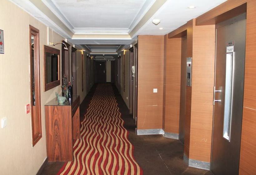 Fotos del hotel Buyuk Sahinler:  46