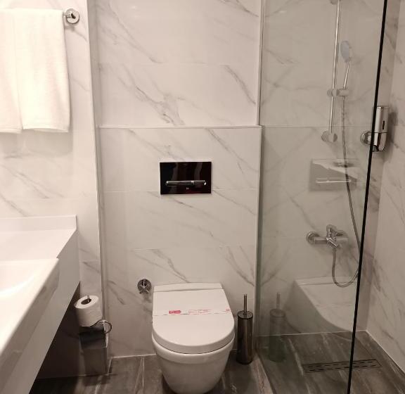 Fotos del hotel Buyuk Sahinler:  31